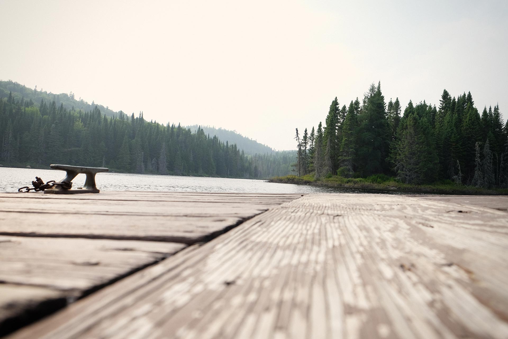 Beratung | Coaching | Therapie